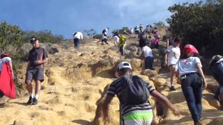 Escalada Muro Cerro De Las Tres Cruces Cali Deportes Extremos [upl. by Wadesworth]