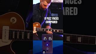 FUZZ FACE 💙 guitar guitarist guitarpedals guitarplayer guitarra guitarsolo fuzz fuzzpedal [upl. by Elliot629]