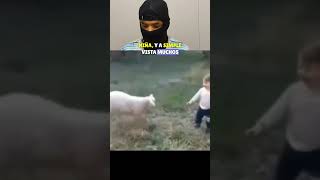 La Delicadeza De Los Animales🥰❤️viralvideo shorts shortvideo [upl. by Austine209]