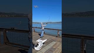 Marc setting up his swim bait for Halibut fishing shorts shortsvideo swimbait fishing bayarea [upl. by Bunder]