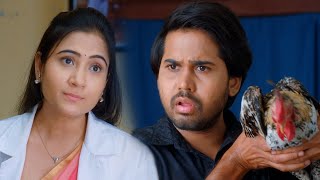 మేడం నా పుంజు గుడ్లు పెట్టడం లేదు  Savitri Wo Sathyamurthy Movie Scene  Volga Videos [upl. by Dutchman]