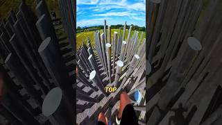 Never Climb Such Poles shortsvideo [upl. by Annodahs264]