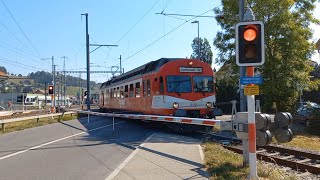 Bahnübergang Huttwil CH  Swiss Railroad Crossing [upl. by Nauaj494]