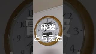 電波時計電池交換受信しない。やっと電波とらえ、針が動き出す。＃Radio Controlled Clock ＃Battery replacement [upl. by Erina]