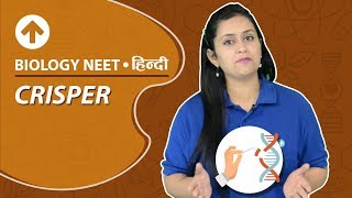 CRISPER  Hindi  Biology NEET [upl. by Siravat453]