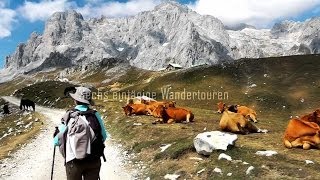 Picos de Europa  Highlights HD [upl. by Nagiem]