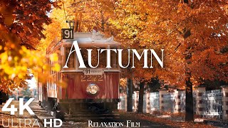 Autumn 4K • Scenic Relaxation Film with Peaceful Relaxing Music and Nature Video Ultra HD [upl. by Damek]