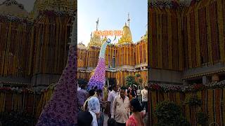 Vadtal dham swminarayan mandir shortvideo [upl. by Aizti]