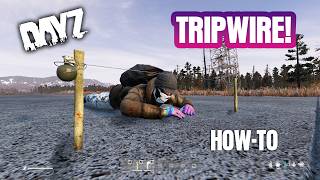 DayZ Tripwires HOWTO [upl. by Nesral]