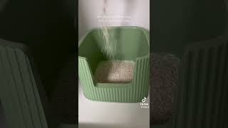 Michu container XXL litter box is ultimate solution for your cat cat michu catlitterbox yourcat [upl. by Hancock248]