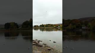 Morning walk around Hollingworth Lake with voice of HolyQuran muslim islamicvideo [upl. by Waki]