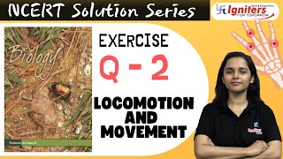 Exercise Q2  Locomotion and Movement  Class 11  NCERT Solution Series  BIOLOGY [upl. by Sabra]