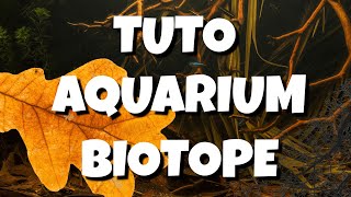 Guide complet pour faire un aquarium BIOTOPE de A à Z [upl. by Eagle]