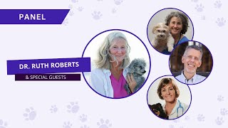 Holistic Dog Care Summit Kick Off Panel [upl. by Ibba]