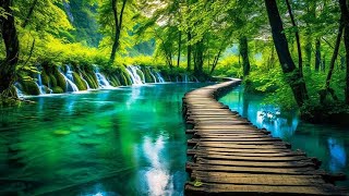 Salinan dar Relaxing Music Relieves Stress Anxiety and Depression Sounds of Nature [upl. by Yrem]