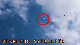 Starlink Satellites train seen in the sky LOW PASSE  Musk SpaceX [upl. by Natsrik]