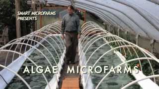 Algae Microfarms Book • Robert Henrikson • 2013 [upl. by Waal]