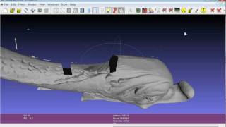 Cleaning Triangles and Vertices Removal [upl. by Fulbright]