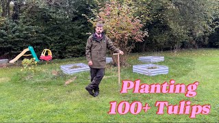 Planting up 100 tulips  6 varieties Cottage Garden Vlog 9 [upl. by Cecile]