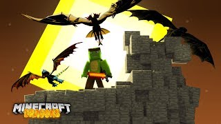 TINYTURTLE IS BACK TO SAVE SOME DRAGONS  Minecraft Dragons [upl. by Clite]