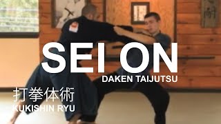 Taijutsu Sei On 生音 Shoden Gata of Kukishin Ryu Daken Taijutsu [upl. by Sualakcin]