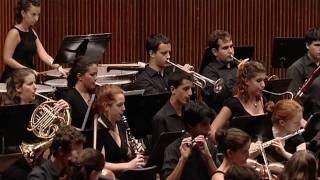 The Young Israel Philharmonic Orchestra Plays Beethovens 6th Symphony [upl. by Capon115]