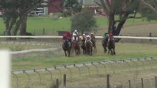 Gulgong 09 06 2024 Race 5 [upl. by Ludovico]