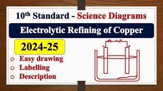 Electrolytic Refining of Copper diagram DRAWING  LABELLING  SSLC  SCIENCE  Chemistry [upl. by Liamaj]