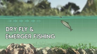 Dry Flies amp Emergers  How to Use [upl. by Belayneh]