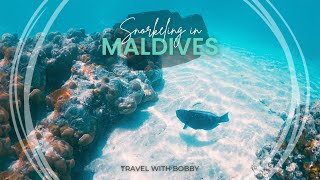 Snorkeling in Maldives 🇲🇻  Underwater Paradise Discovery [upl. by Sayce898]