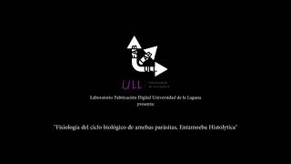 Entamoeba histolytica ANIMATION [upl. by Mellar964]