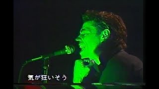 Boomtown Rats I Dont Like Mondays Live Japan 1980 [upl. by Cob377]