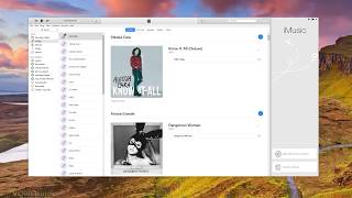 Copy iTunes Playlists to USB for Car Stereo with iMusic for Windows amp Mac [upl. by Madaih948]