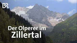 Der Olperer im Zillertal  BergaufBergab  Doku  Berge [upl. by Greggs927]