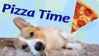 Pizza Time  Topi the Corgi [upl. by Llednol867]