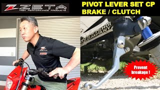 PIVOT LEVER SET CP [upl. by Burkhardt310]