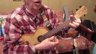 Everybody Loves a Little Bunny Rich Davis Original Song Thin Uke [upl. by Deys547]