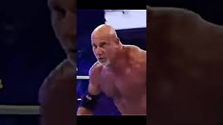 Brock Lesnar Vs 🔥 Goldberg At Wrestlemenia 33 😈wwe brocklesnar goldberg shrots [upl. by Iddo292]