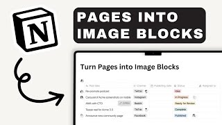 How to Turn Pages into Image Blocks in Notion  Notion For Beginners [upl. by Aniras]