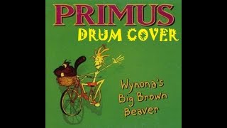 WYNONAS BIG BROWN BEAVER  PRIMUS drum cover [upl. by Ennahgiel]