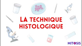 La technique histologique méthodes d’études en histologie [upl. by Mervin]