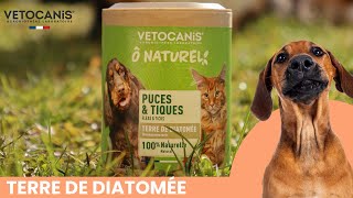 terre de diatomée antiparasitaire chien chat [upl. by Sigfrid]