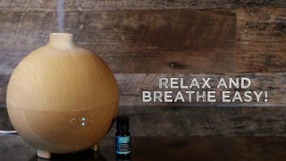 How To Diffuse Essential Oil In A Diffuser [upl. by Kelwin]