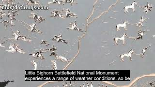 Little Bighorn Battlefield National Monument [upl. by Chloette]