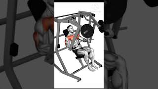 Best exercise at home for man and woman shorts homeworkout workout [upl. by Jemmy]