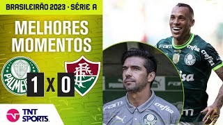 É CAMPEÃO PALMEIRAS SUPERA GOLS ANULADOS E COLOCA UMA MÃO NA TAÇA PALMEIRAS 1 X 0 FLUMINENSE [upl. by Nyrmac]