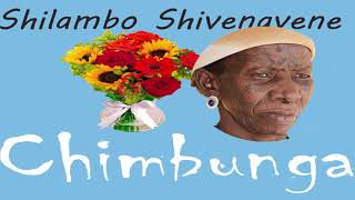 Chimbunga  Shilambo Shivenavene Official Audio [upl. by Dlanigger]