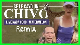 Limonada Coco  Se Le Cayó Un Chivo  Watermelon [upl. by Wilt]