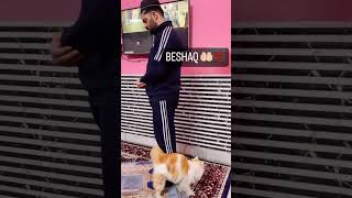 Beshaq☝️ trending viral latest shortsyoutube smartboy cutepaws furrball cutiepatootie ♥️♥️ [upl. by Lamson]