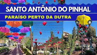 SANTO ANTÔNIO DO PINHAL  SP Um achado na Serra da Mantiqueira em São Paulo [upl. by Manley]